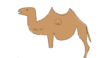 Untitledsdasdsad.png