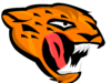 jaguar.png