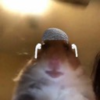 41e5c5e2c1cac256c27aa9ac8b9c468f.png