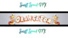 OrangeFox.jpg