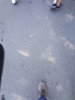 20180630_102952_001.jpg