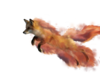 Fire Fox.png
