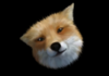 Fox Portrait.png