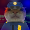 policeroka.png