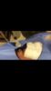 55BD72C6-0EF1-4EB5-9B3E-F6592775B1A7.png