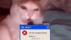 888f636e2e39e7792cba5452baf2fe07b6889d181Kg7flLY3pPcvl3D2epD.video_thumb_7699_11.jpg