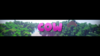 CowYTBanner.png