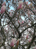 JPEG_20190312_073421.png
