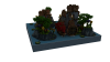 HCF Spawn.png