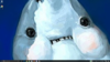 unknown.png