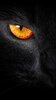 Black-Cat-Evil-Eye-iPhone-5-Wallpaper.jpg