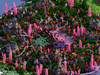 Premade2-1000.png
