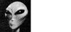 Alien.jpg
