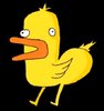 quack.jpg