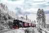 wintry-3758523_1920.jpg