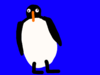 penguin.png