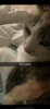 4CEDCF7D-3AE6-4A7D-A390-F89D4E9266D2.png