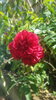 20180624_140930.jpg