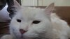 20190603_031305.jpg