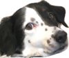 marina.png