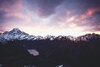 pexels-photo-410981.jpg