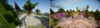 upload_2019-6-23_0-9-35.png