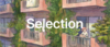 selection.png