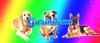 garindean-min.png