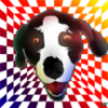 9cc3e9d1995cd331fa4fb2247904f6a2.png