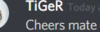 2019-06-29 02_58_10-@TiGeR - Discord.png