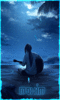 gallery_209186_45_117926.gif