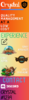 Untitled.png