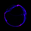 Circle PFP PNG.png