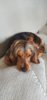 20190718_092943.jpg