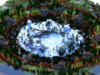 Swamp&Glacier-467.png