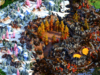 Premade12-495.png