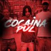 Cocaina_Pul.jpg