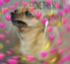 271065803015201.png