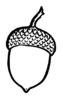 acorm.png