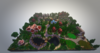 2019-07-15_23.36.59.png