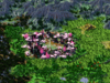 10Kmergeworld-1000.png