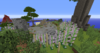 SHU_1565440026572-2432.png