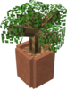 Potted tree.png