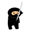 ninja_2.png