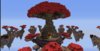 Mushroom.jpg