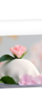 JPEG_20190625_070953.png