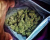 bud.png