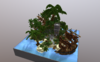 Tropical Koth.png