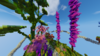 2019-09-21_17.57.34.png