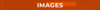 images GHAST.png
